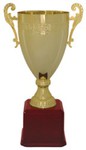 Custom Decorated Trophy Cup Gold