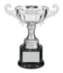 Custom Imprinted Trophy Cups Silver
