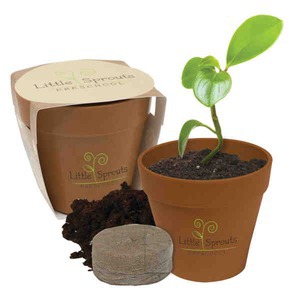 Wild Flower Plant Kits, Custom Imprinted With Your Logo!